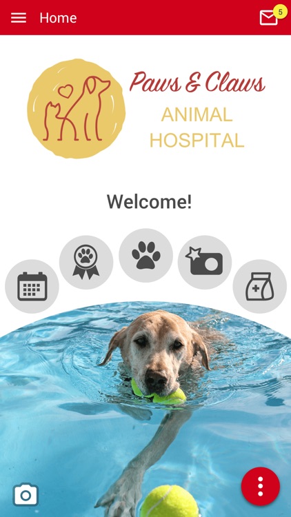 Paws and Claws DeRidder