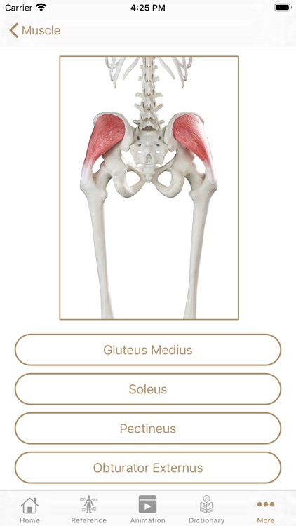 Fundamental Physiology screenshot-6