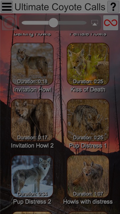 Ultimate Coyote Calls screenshot-4