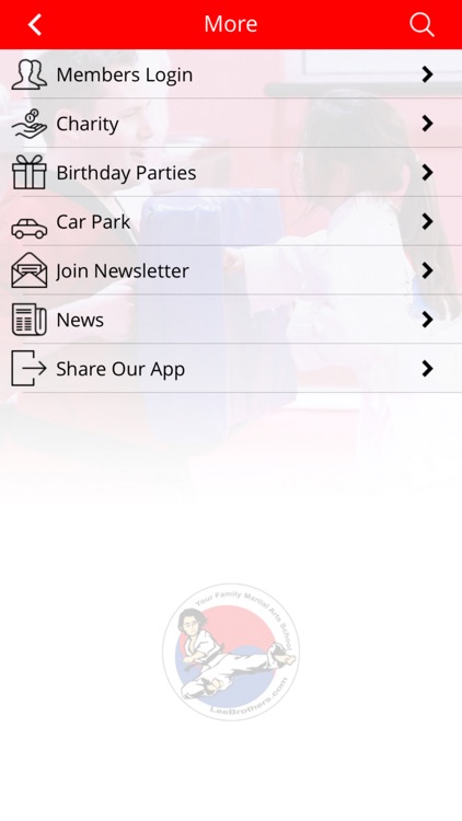 Lee Brothers Martial Arts screenshot-4
