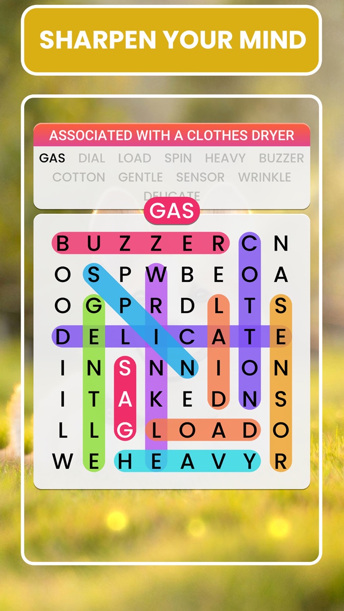 Word Rainbow Search