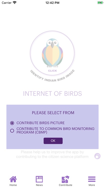 Internet of Birds screenshot-5