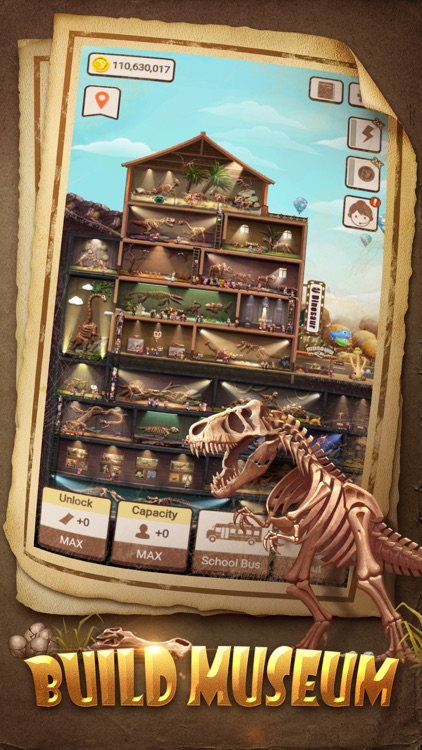 My Fossil Museum