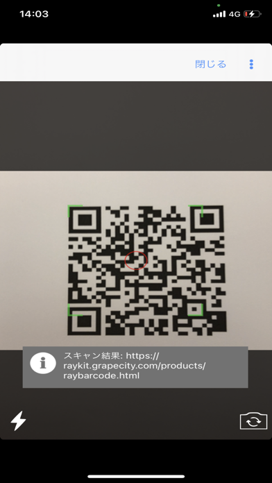 RayBarcode Reader screenshot 3