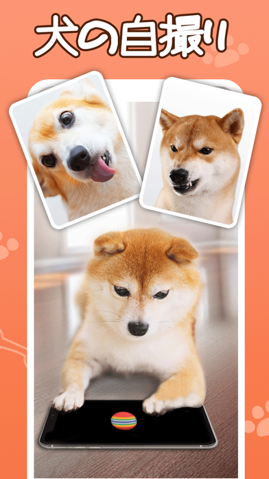 犬鳴き声と犬語翻訳アプリ Iphoneアプリ Applion