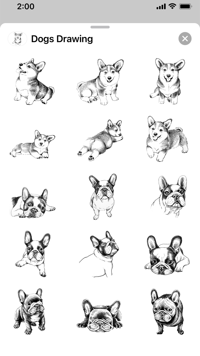 Dogs Drawing