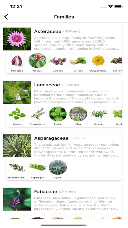 Herbs Encyclopedia screenshot-3