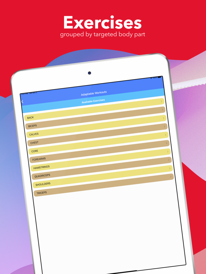 Muscle Building Toning Workout