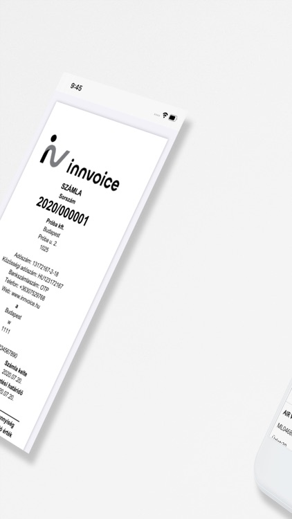 InnVoice számlázóprogram screenshot-3