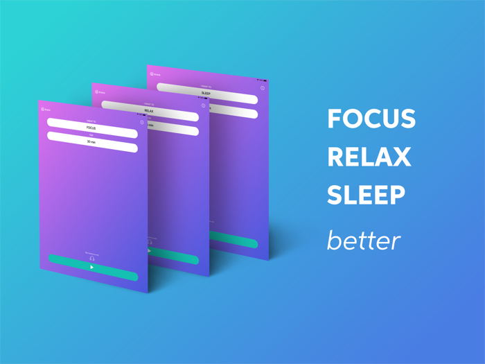 Brainie Focus gt Relax gt Sleep