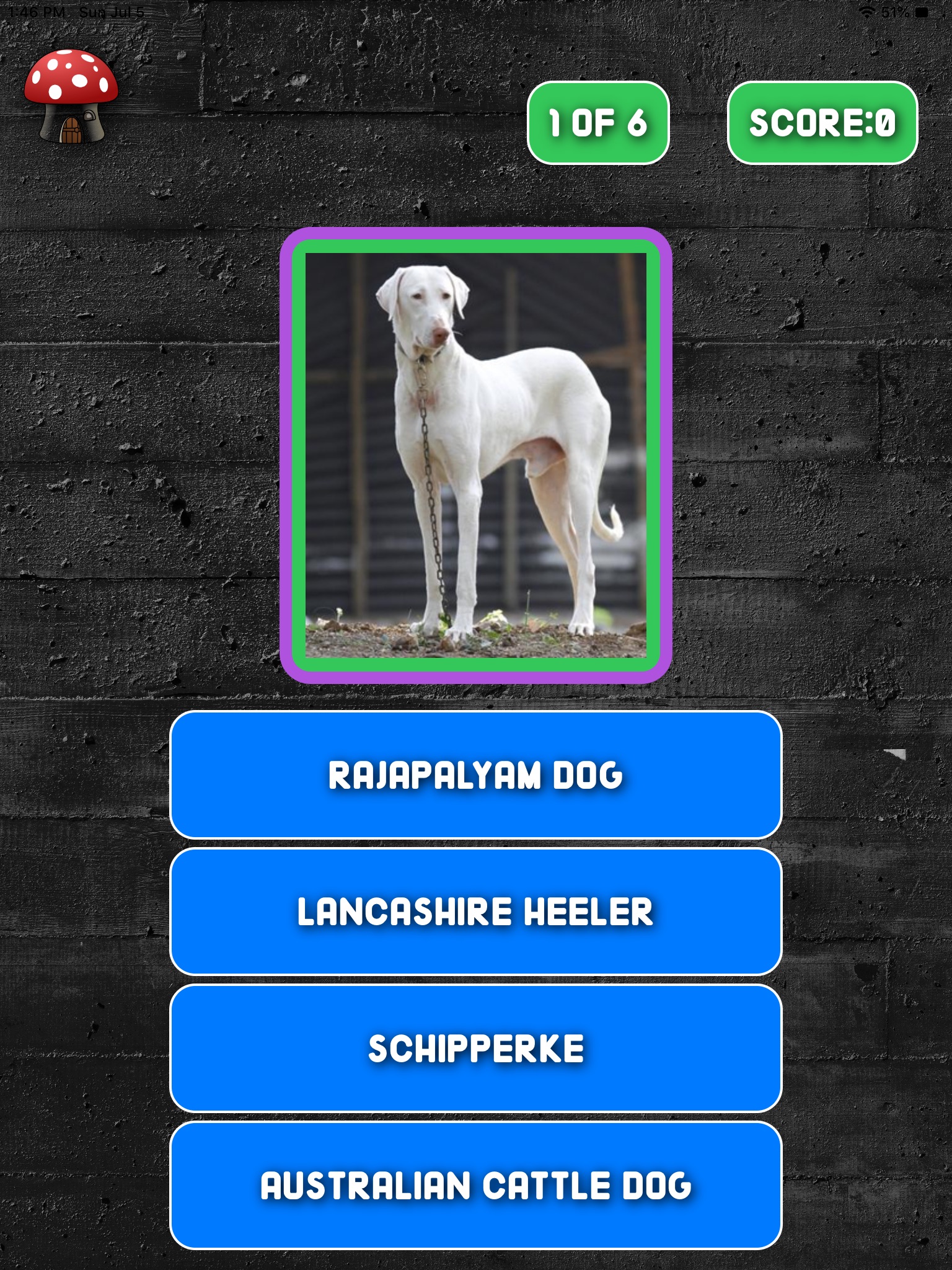 A Dogs Breed Quiz screenshot 3