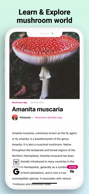 Mushroom Identifier Fungi Id On The App Store