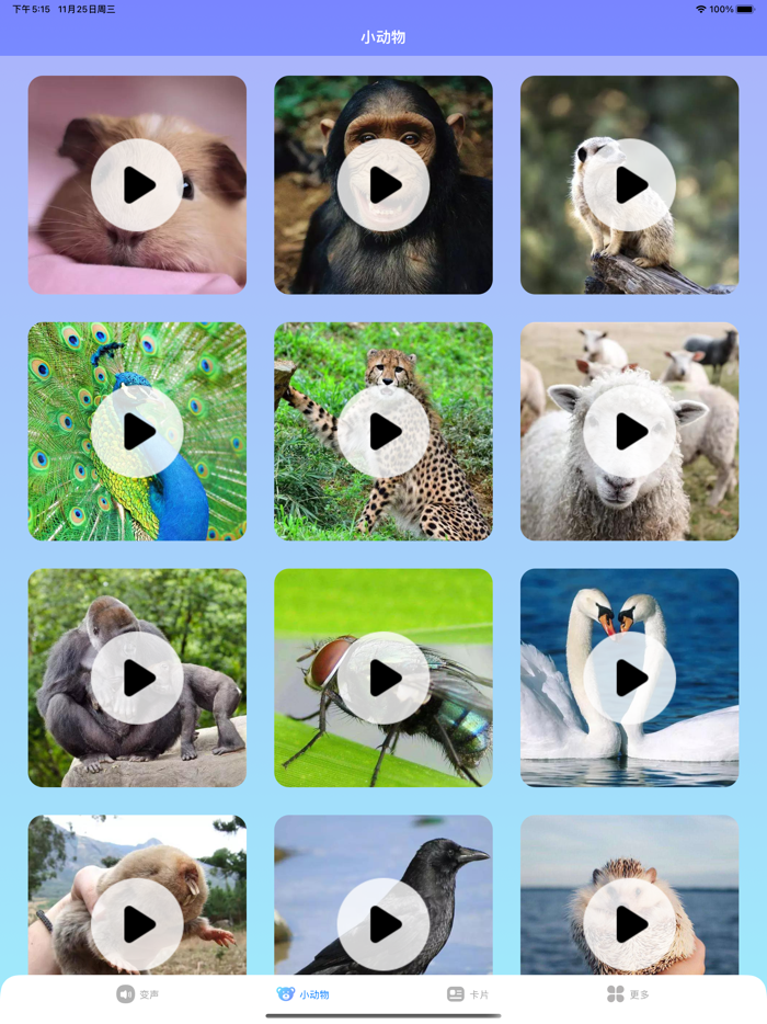 哄娃宝 - 哄娃开心动物变声器