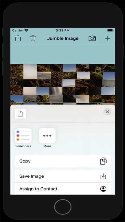 Jumble Image screenshot-3
