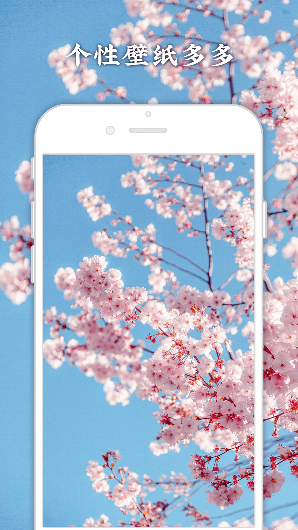 今日壁纸 精选高清手机壁纸软件free Download App For Iphone Steprimo Com