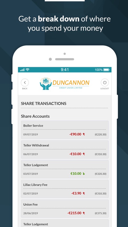 Dungannon Credit Union screenshot-3