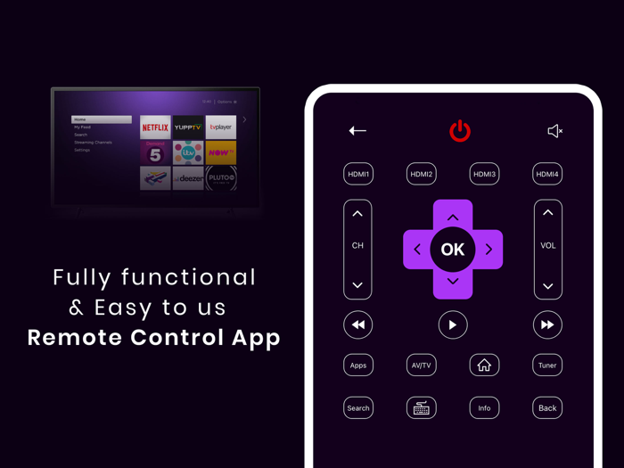MTS Universal Remote For ROKU