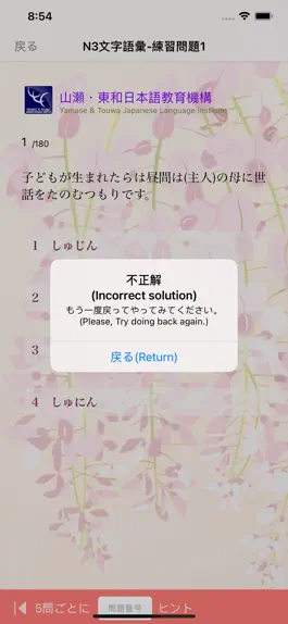 Game screenshot 新しい日本語能力試験文字語彙 hack