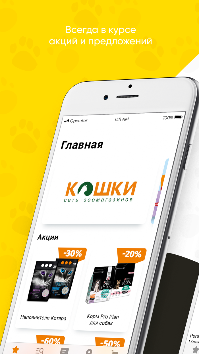 Кошки-зоомагазин