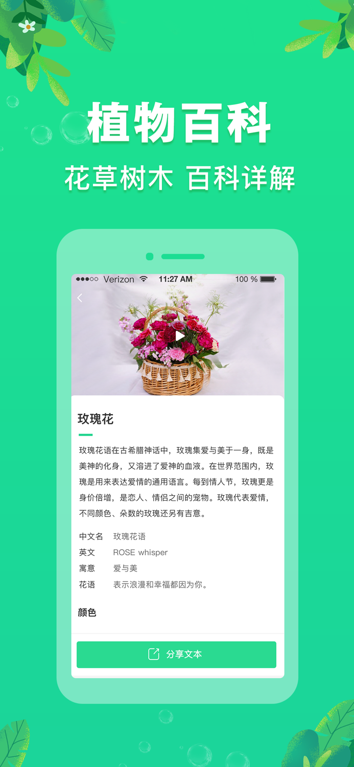 植物识别-拍照识物识花君