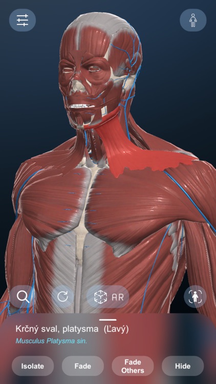 High School Anatomy 21 screenshot-5