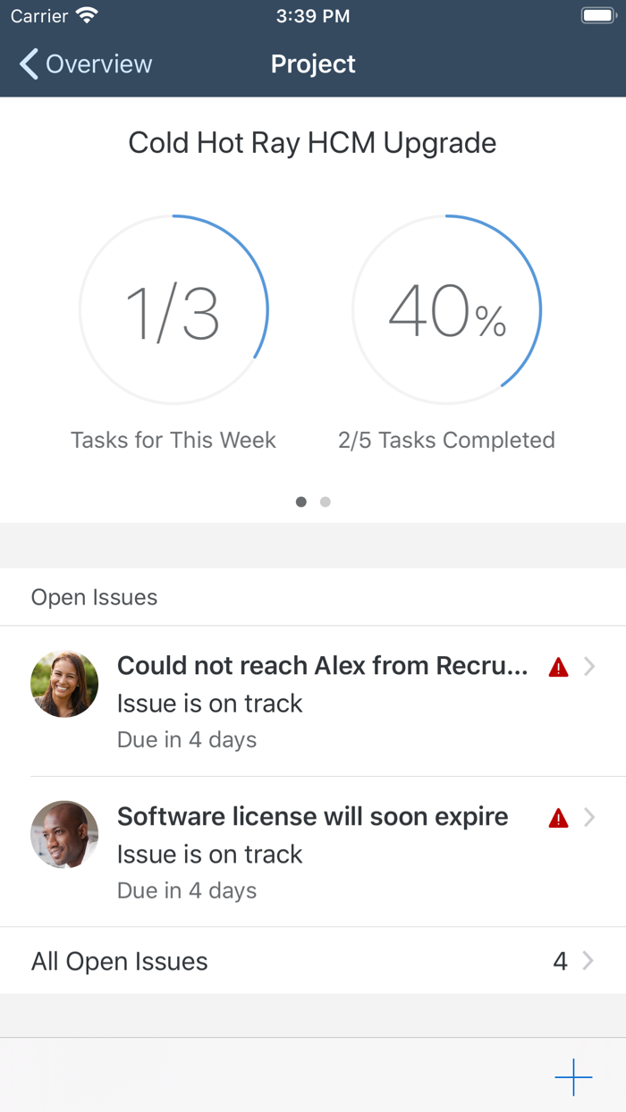 SAP Project Companion