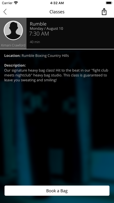 Rumble Boxing Inc. screenshot 4