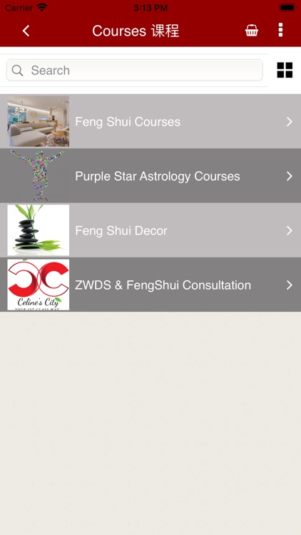 Feng Shui & Astrology screenshot-4