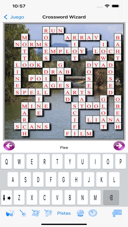 Crossword Wizard iPlayer screenshot-4