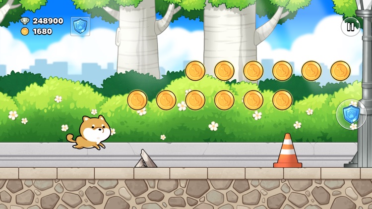 Shiba Run