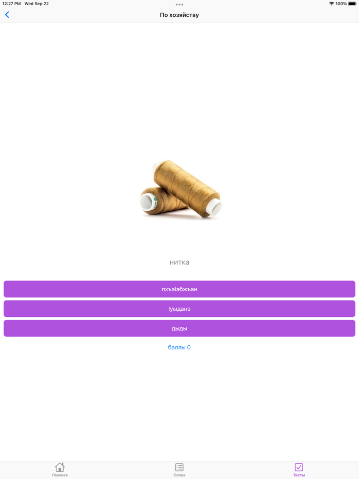 Словарик по бжедугскому