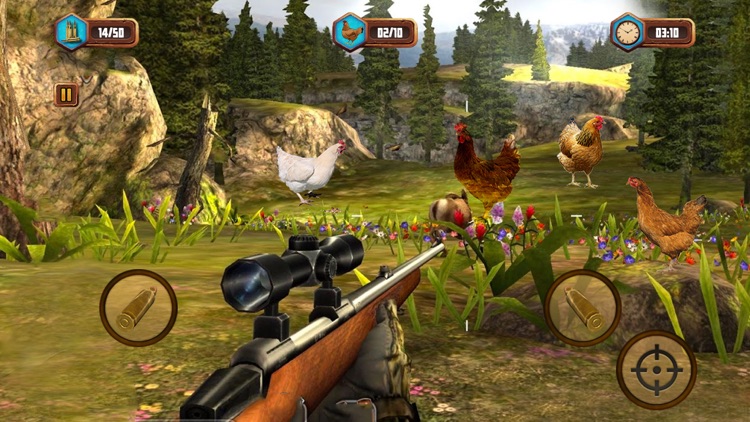 Bird Hunting Shooting Game