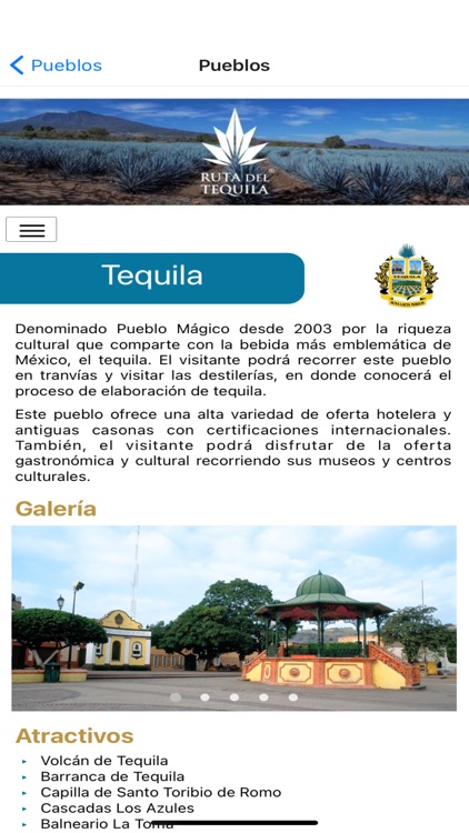 Ruta del Tequila screenshot-6