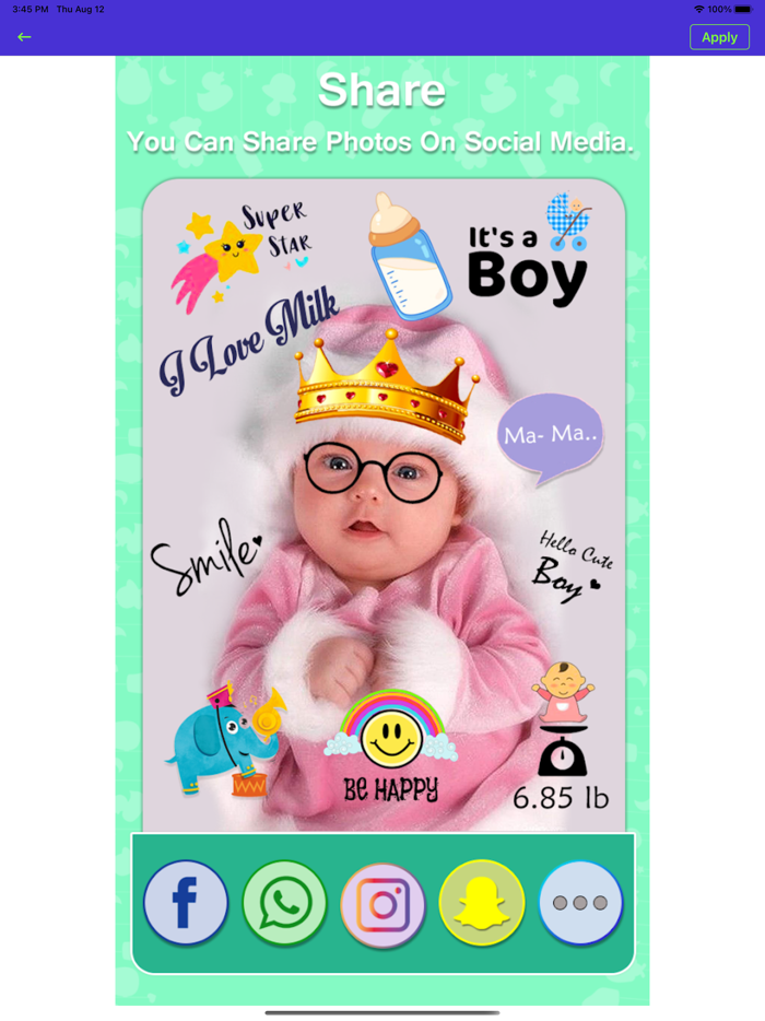 BabyPic Art  Monthly Pictures