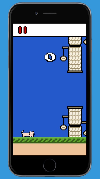 Jumpy Cat: Jumpiest Day screenshot-5