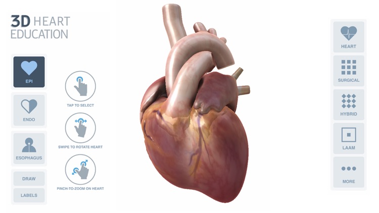 3D Heart Education