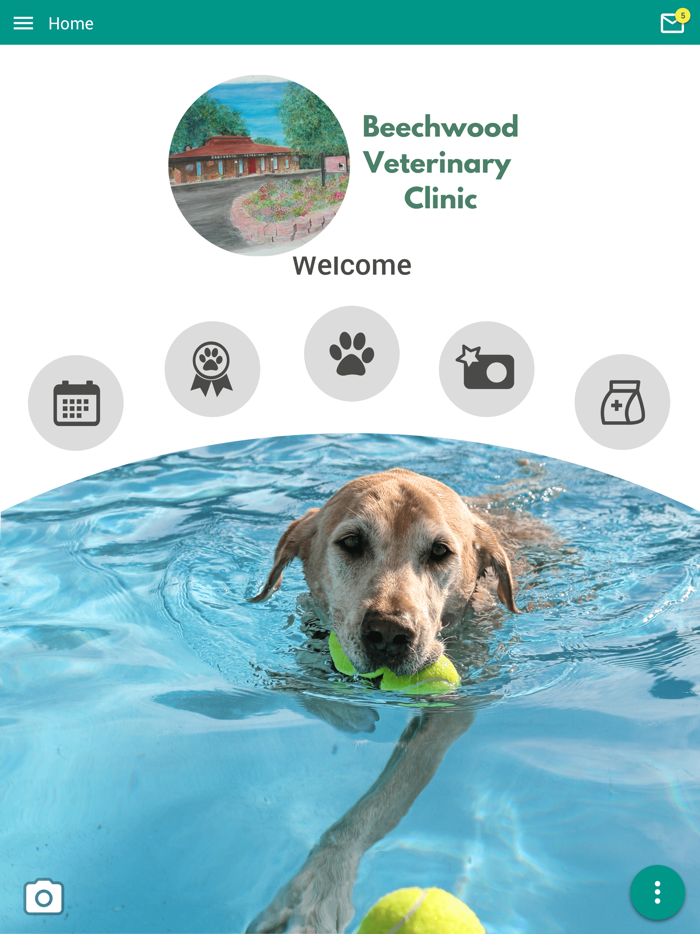 Beechwood Vet Clinic