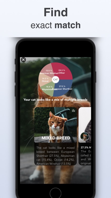 Pet Identifier - Scan dog, cat screenshot-3