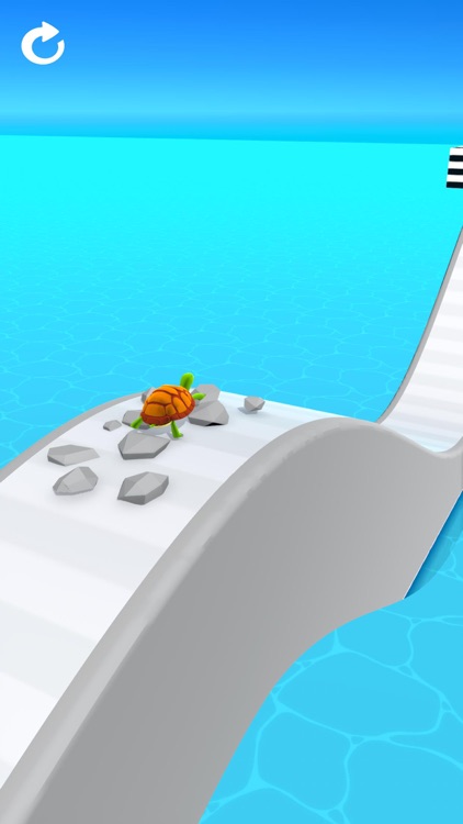 Turtle Race 3D screenshot-6