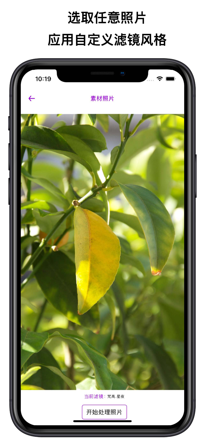 艺术家滤镜-支持自定义风格样式的滤镜