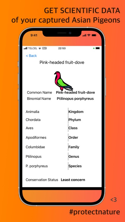 Asian Pigeon Scan Identifier screenshot-3