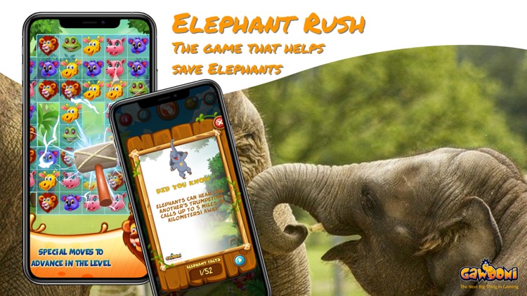 Elephant Rush