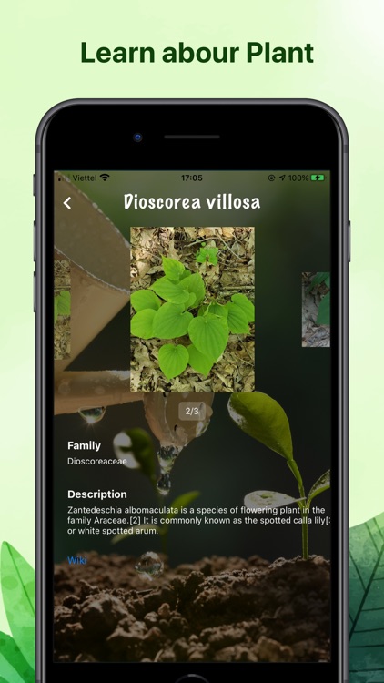 Weed identification leaf snap screenshot-3
