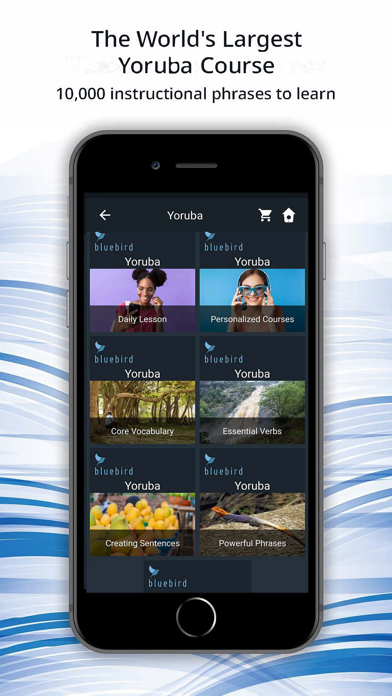 Bluebird: Learn Yoruba Screenshot