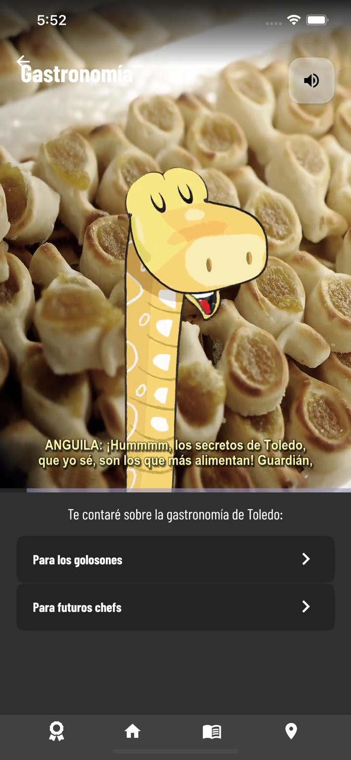 Los Guardianes de Toledo