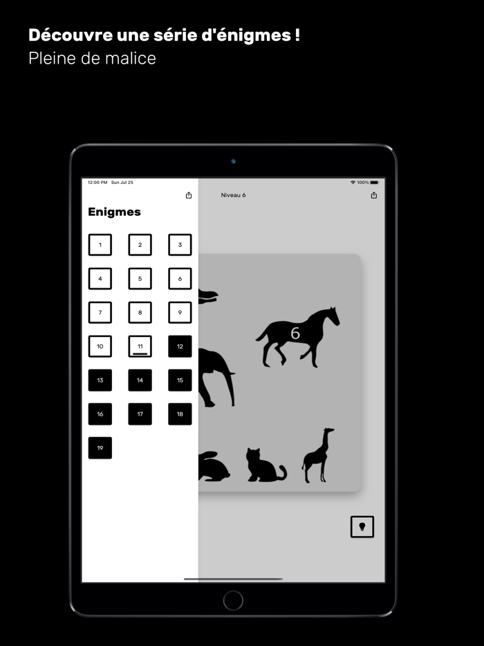 La boîte à énigmes