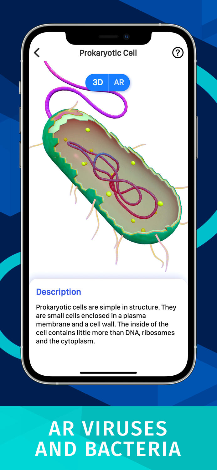 Bacteria AR Zoom Cell Anatomy