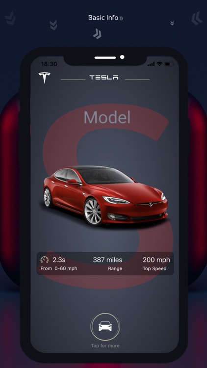 TeslaInfo