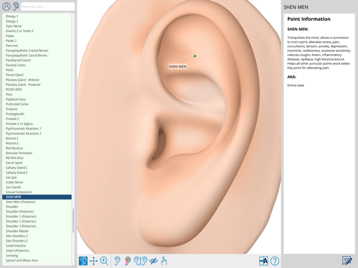 Auriculo 360 - The Living Ear