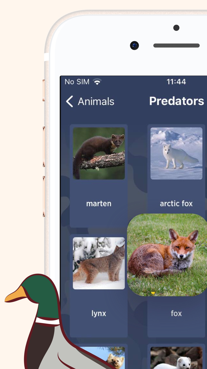 Manok Sounds for Duck